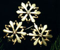 snowstars thumbnail